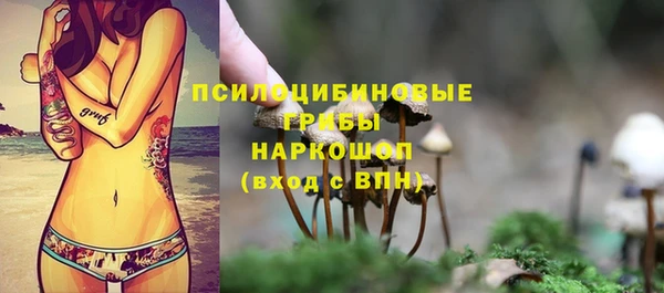 MESCALINE Карпинск